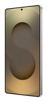 Samsung Galaxy S25 Ultra 17,5 cm (6.9") Dual SIM Android 15 5G USB Type-C 12 GB 512 GB 5000 mAh Grå, Titanium