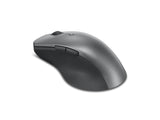 Lenovo Professional Blå optisk Trådløs Grå