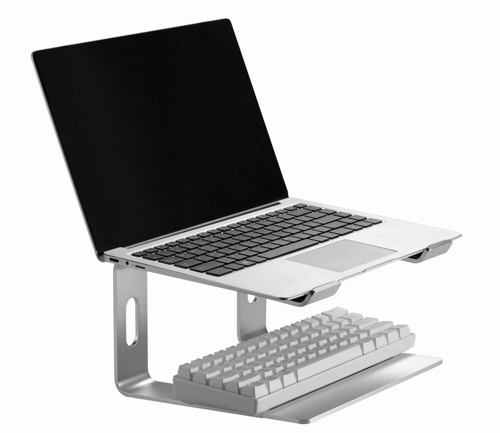 Gembird NBS-D1-01 laptop stativ Aluminium, Sølv 39,6 cm (15.6")