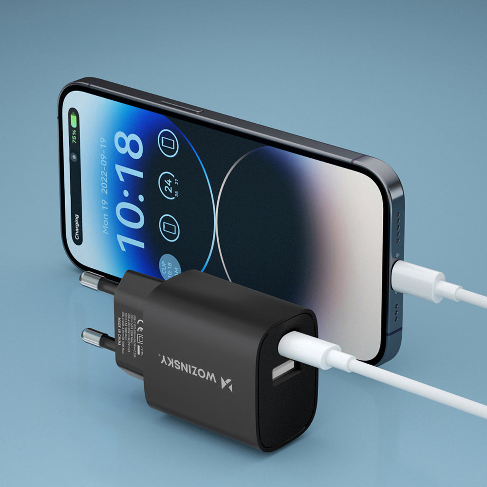 Wozinsky WGWCB USB-A USB-C 20W vægoplader - sort