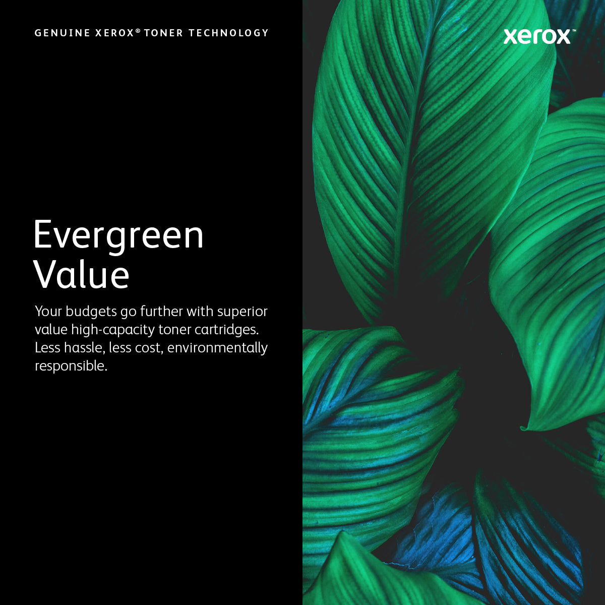 Xerox C230/C235 sort tonerpatron med standardkapacitet (1.500 sider)