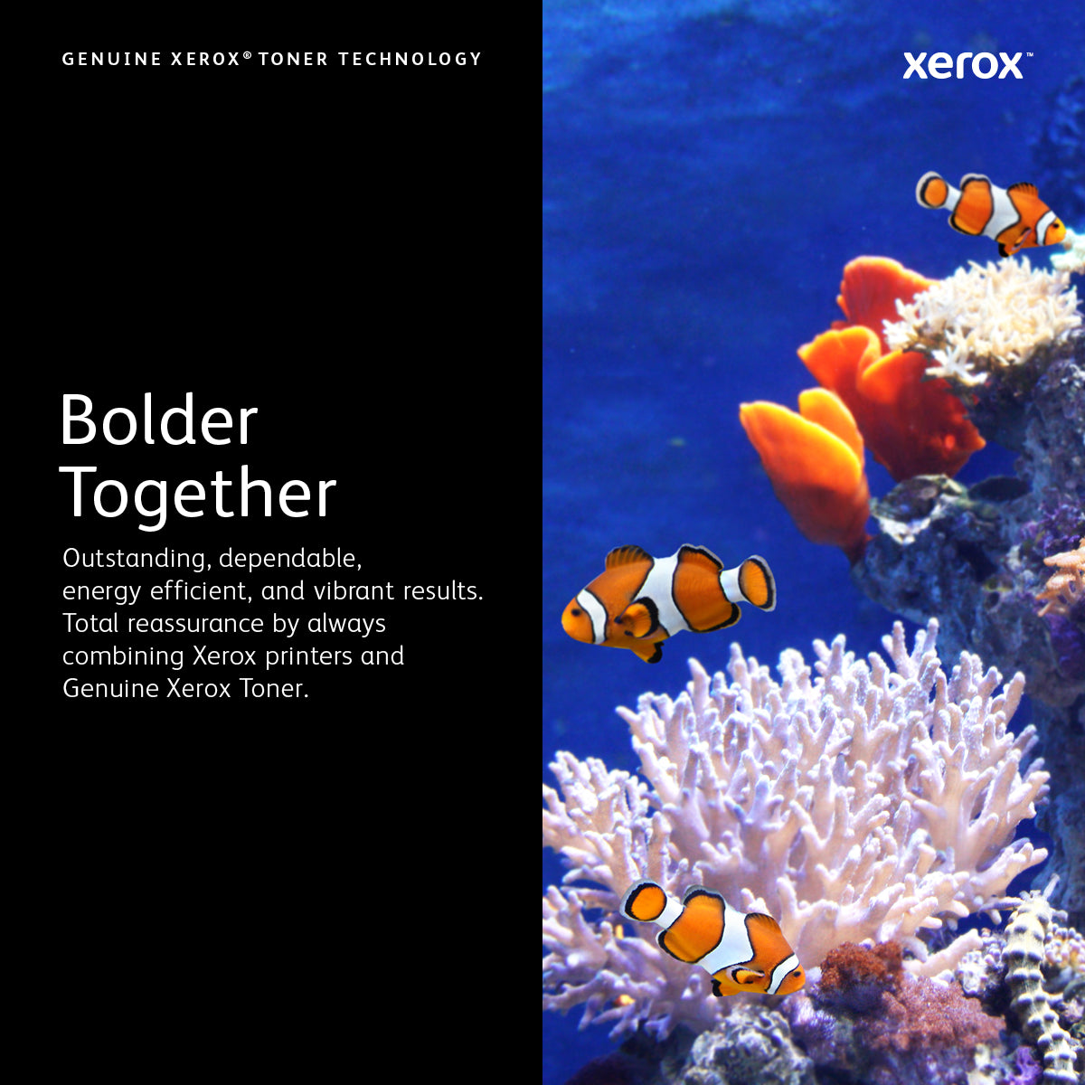 Xerox C230/C235 sort tonerpatron med standardkapacitet (1.500 sider)