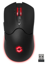 SPEEDLINK SL-680102-BK mus Spil USB Type-A 4800 dpi