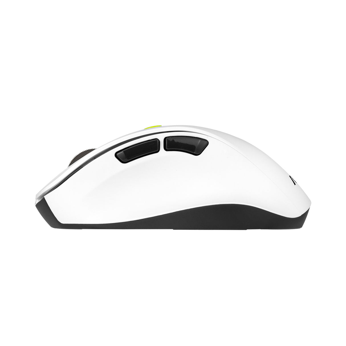 ASUS MD105 MOUSE/VT-GN mus Universel Højre hånd RF trådløs + Bluetooth 2400 dpi