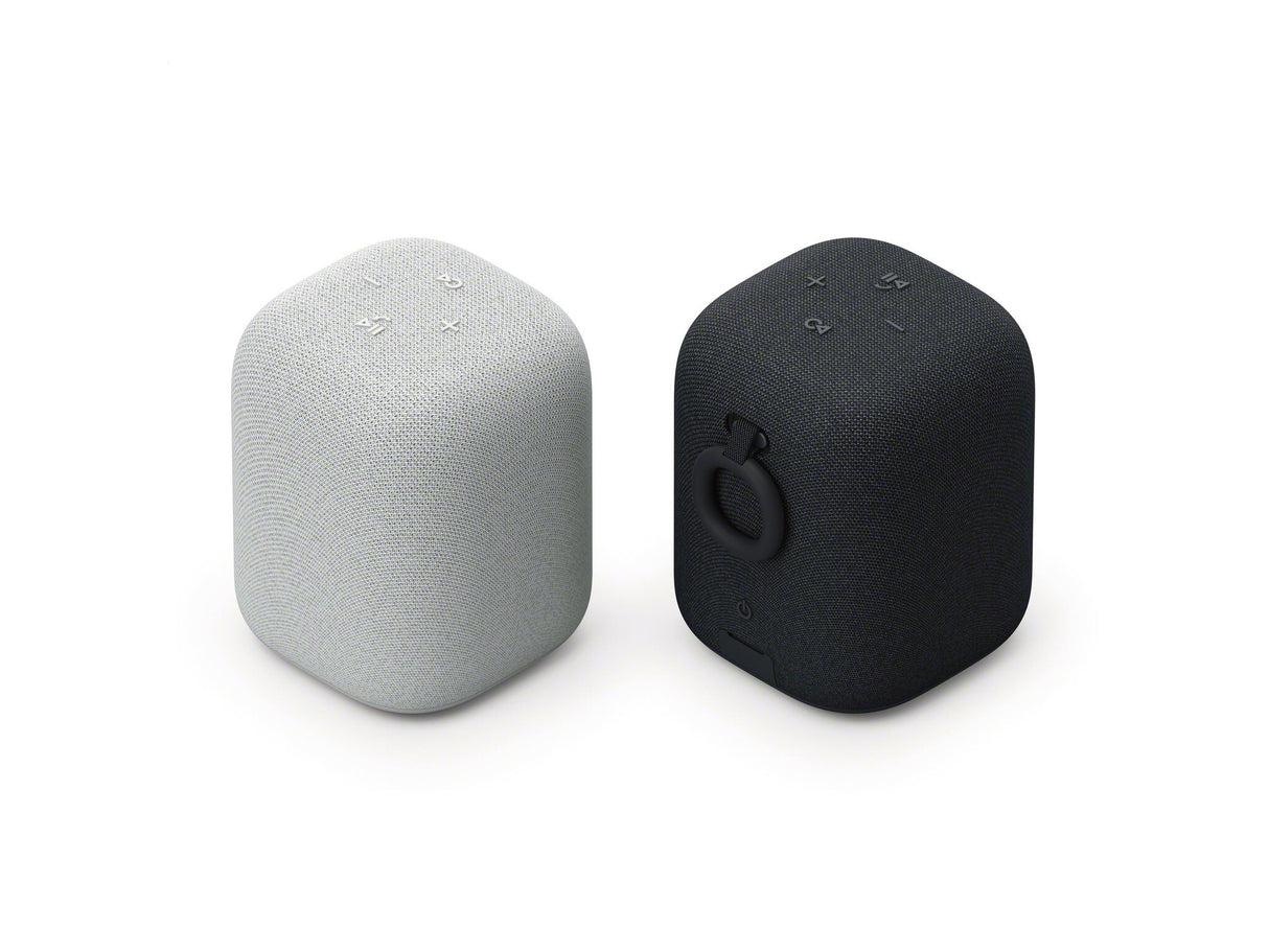 Sony SRSLS1H højttaler med dockingstation 1.0 kanaler 0,3 W Lys grå