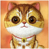 Nimmy Big Eyed Pet 2.0 Cat case til iPhone 17 Pro - orange