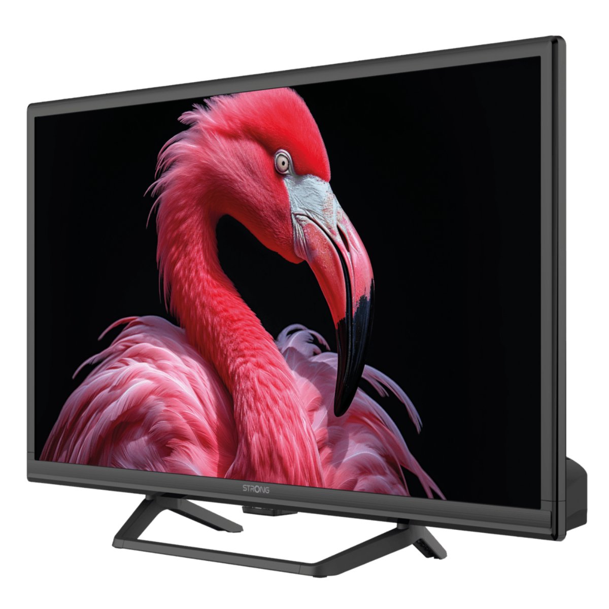 Strong 24" HD Google TV m/12v adapter