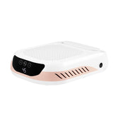 Beautifly Dust Absorber Nail Flow White