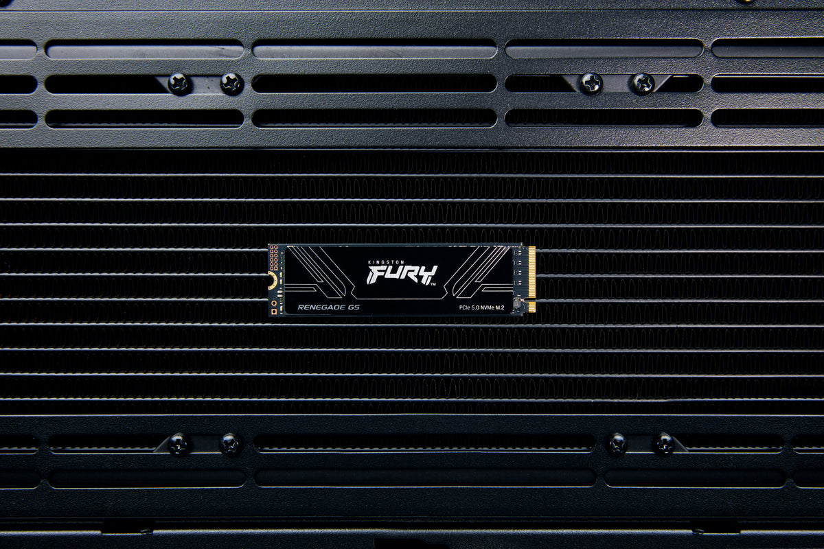 Kingston Technology 1T FURY RENEGADE G5 M.2 2280 NVMe SSD