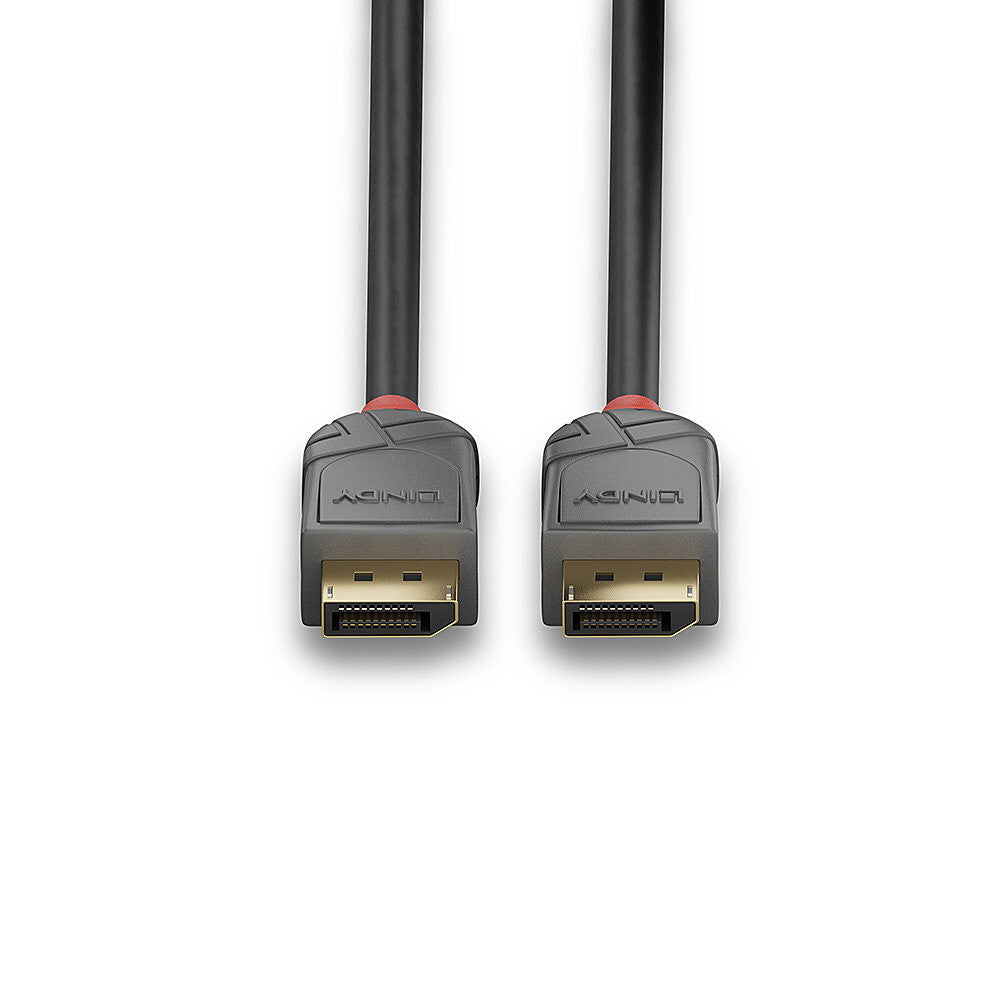 Lindy 36481 DisplayPort kabel 1 m Sort, Grå