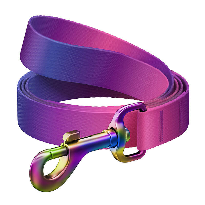 WAUDOG gradient nylon hundesnore, 20 mm bred, 122 cm lang, lilla