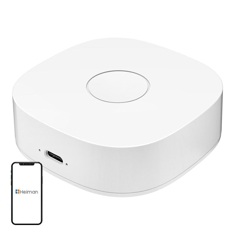 Smart hjem WS2GW-R WiFi