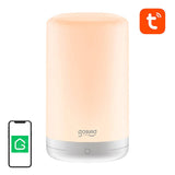 RGB WiFi smart natlys Gosund LB3 Tuya