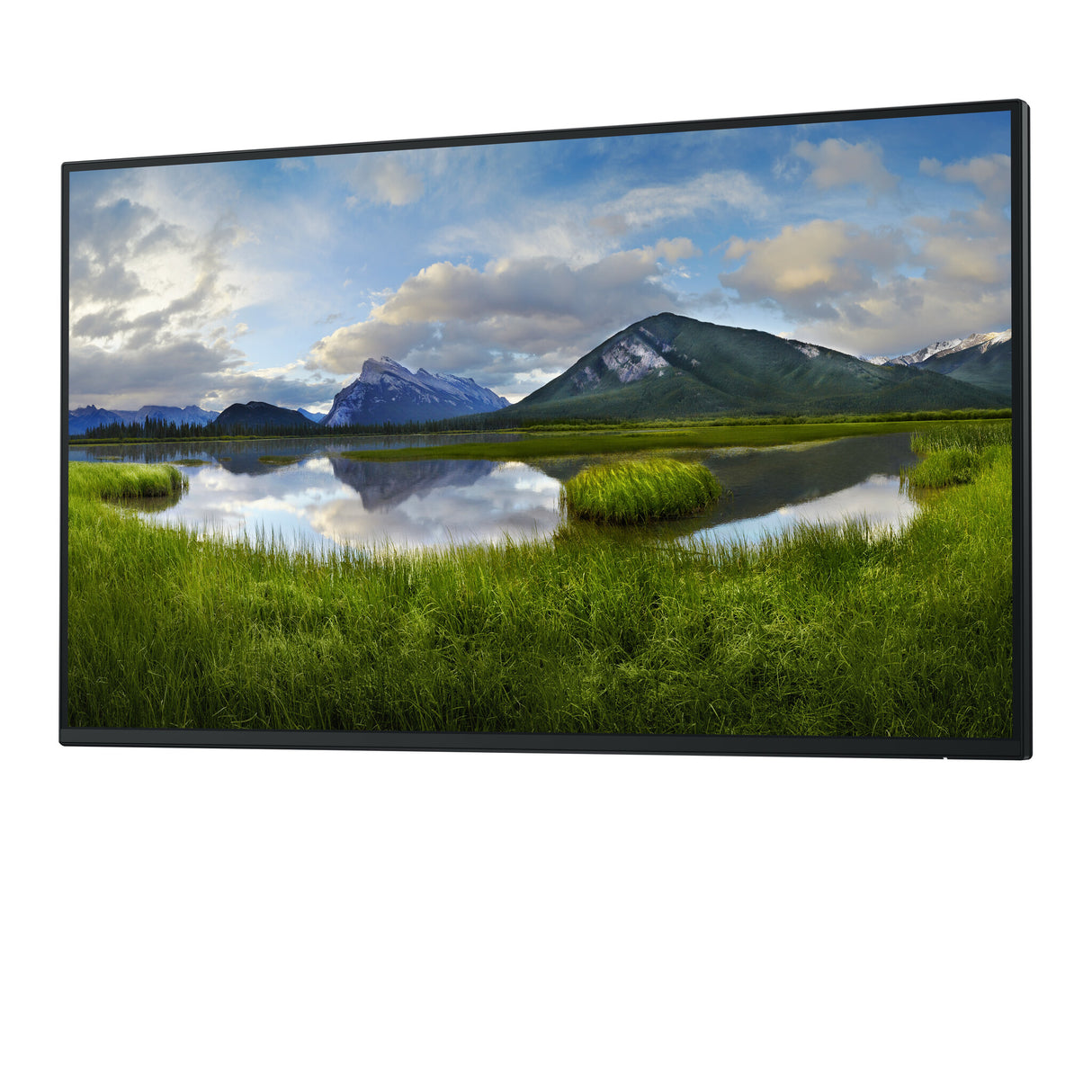 DELL Pro Plus P2725H_WOST computerskærm 68,6 cm (27") 1920 x 1080 pixel Fuld HD LCD Sort