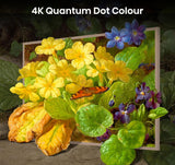 Hisense 55S7NQ 55 Canvas TV 4K UHD (2160p) Teak