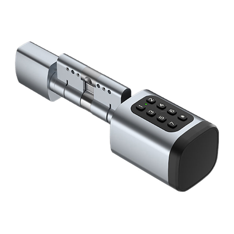 Avatto SDL-V1-S100 100mm Sølv digital låse cylinder
