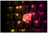 SteelSeries Apex 3 TKL - NOR - Keyboard