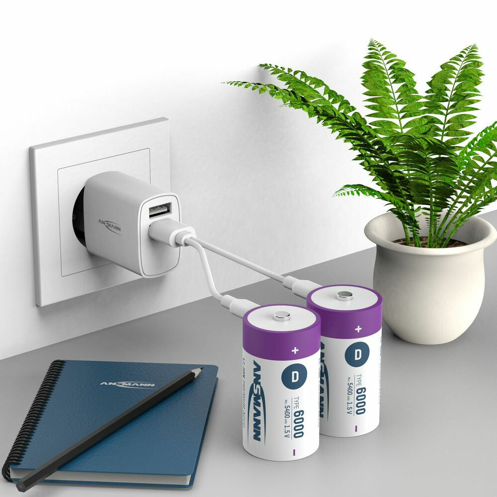 Ansmann 1314-0005 husholdningsbatteri Genopladeligt batteri D Lithium-Ion (Li-Ion)