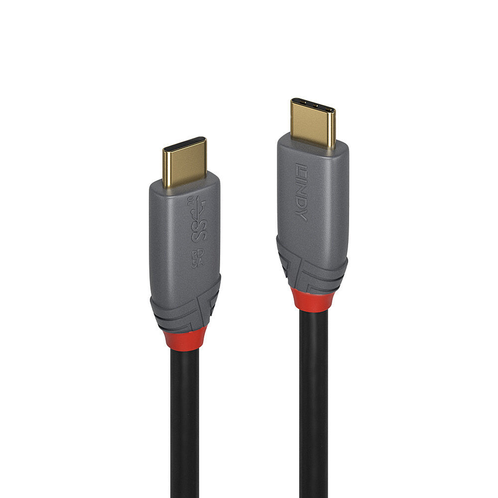 Lindy 36901 USB-kabel 1 m USB C 10 Gbit/sek. Sort, Grå