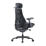 LiberNovo Omni Pro 48 cm Ergonomisk stol (Grafit)