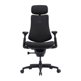 LiberNovo Omni SE 48 cm Ergonomic Chair (Black)