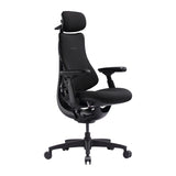 LiberNovo Omni SE 48 cm Ergonomic Chair (Black)