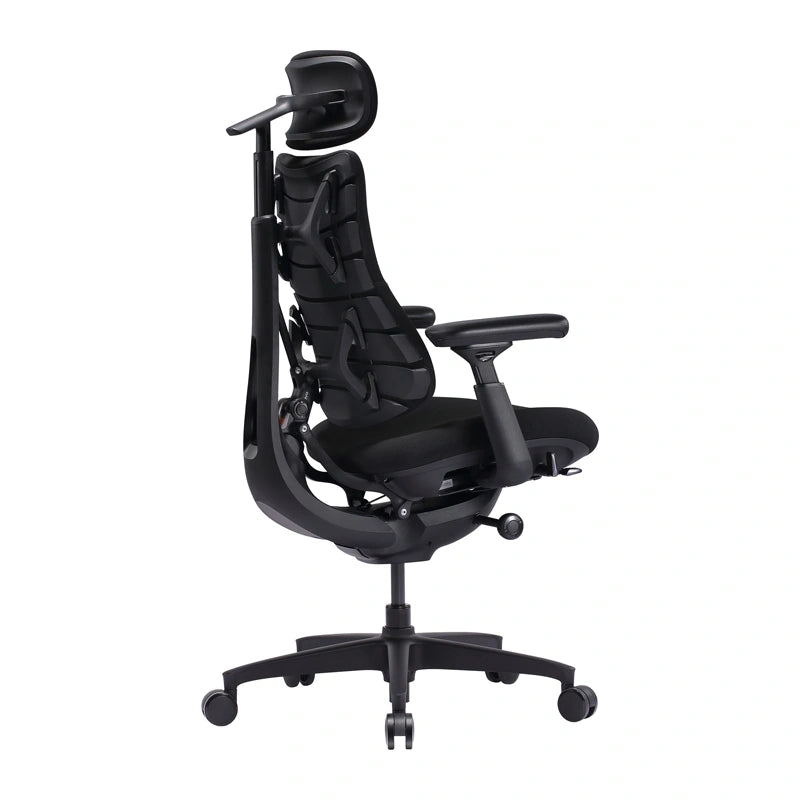 LiberNovo Omni SE 48 cm Ergonomic Chair (Black)