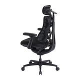LiberNovo Omni SE 48 cm Ergonomic Chair (Black)