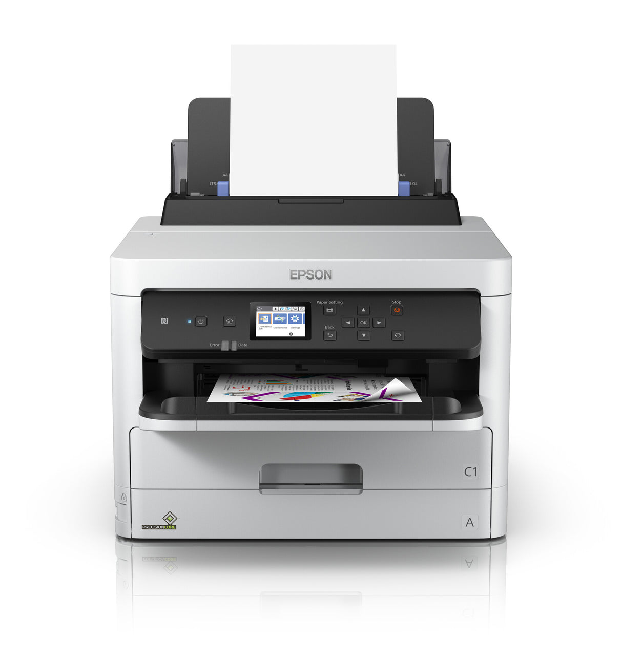 Epson T01D100 blækpatron 1 stk Original Højt (XL) udbytte Sort