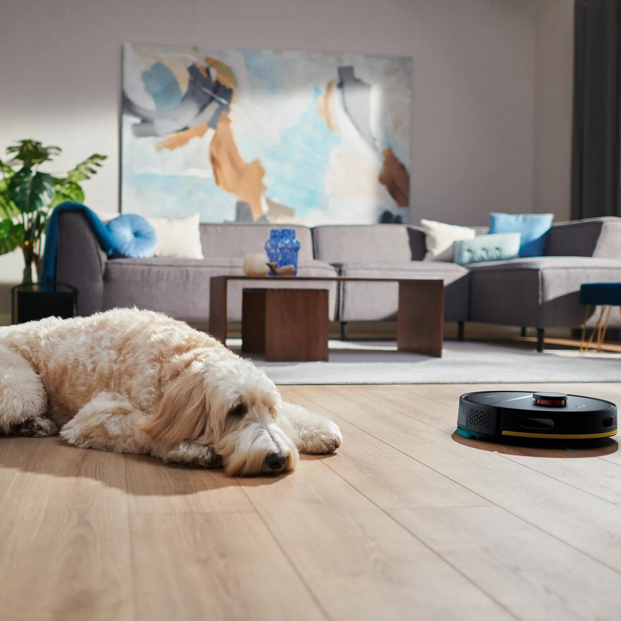 Philips HomeRun XV1433/00 Udskiftningssæt HomeRun 3000-robotter