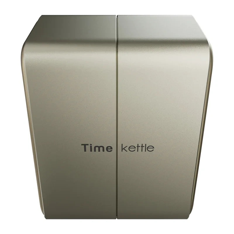 TimeKettle W4 Plus TWS oversættelses øretelefoner (guld)