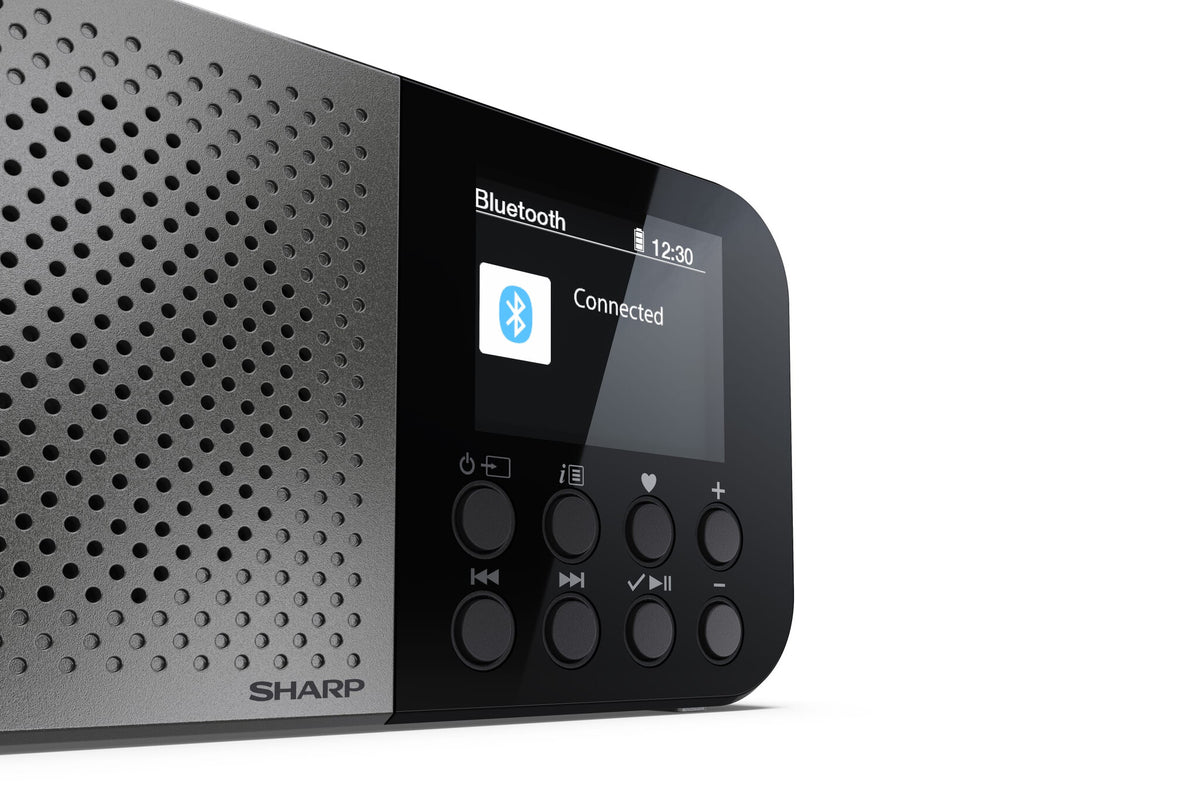 Sharp DR-P520 Personal Digital Grey