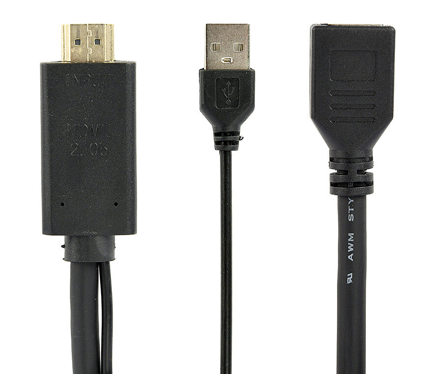 Gembird A-HDMIM-DPF-01 videokabel adapter 0,1 m HDMI Type A (Standard) DisplayPort + USB Type-A Sort