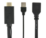 Gembird A-HDMIM-DPF-01 videokabel adapter 0,1 m HDMI Type A (Standard) DisplayPort + USB Type-A Sort