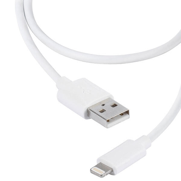 Vivanco LIGHTNVVUSBCABLE12 1,2 m Hvid