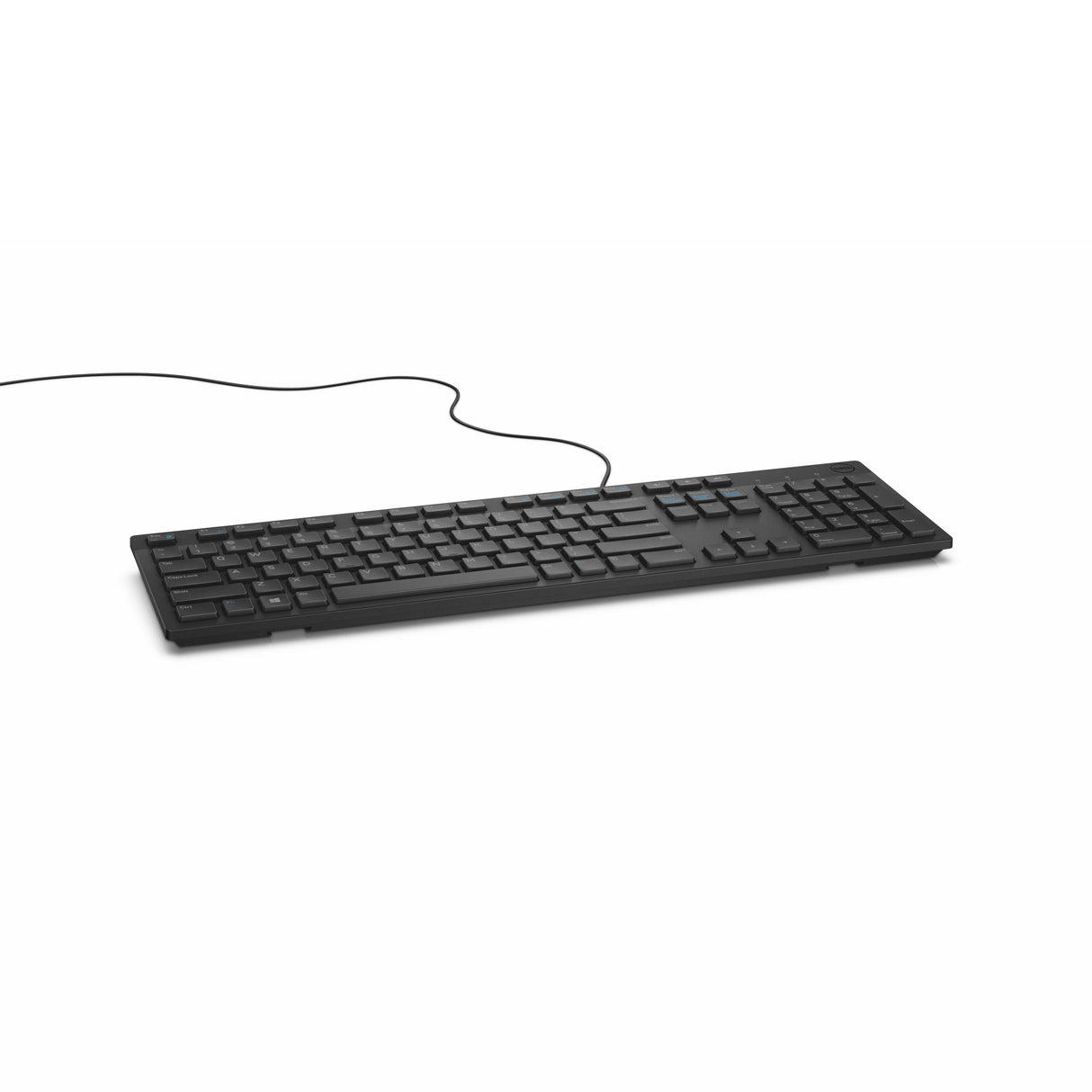 DELL KB216 tastatur Universel USB QWERTY Ukrainsk Sort
