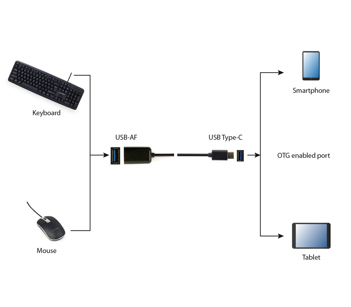Gembird A-OTG-CMAF2-01 USB-kabel 0,2 m USB C USB A Sort
