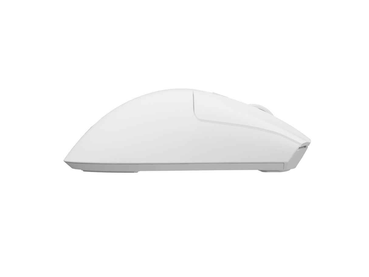 GENESIS Zircon 880 Pro mus Spil Højre hånd RF Wireless + Bluetooth + USB Type-C Optisk 30000 dpi