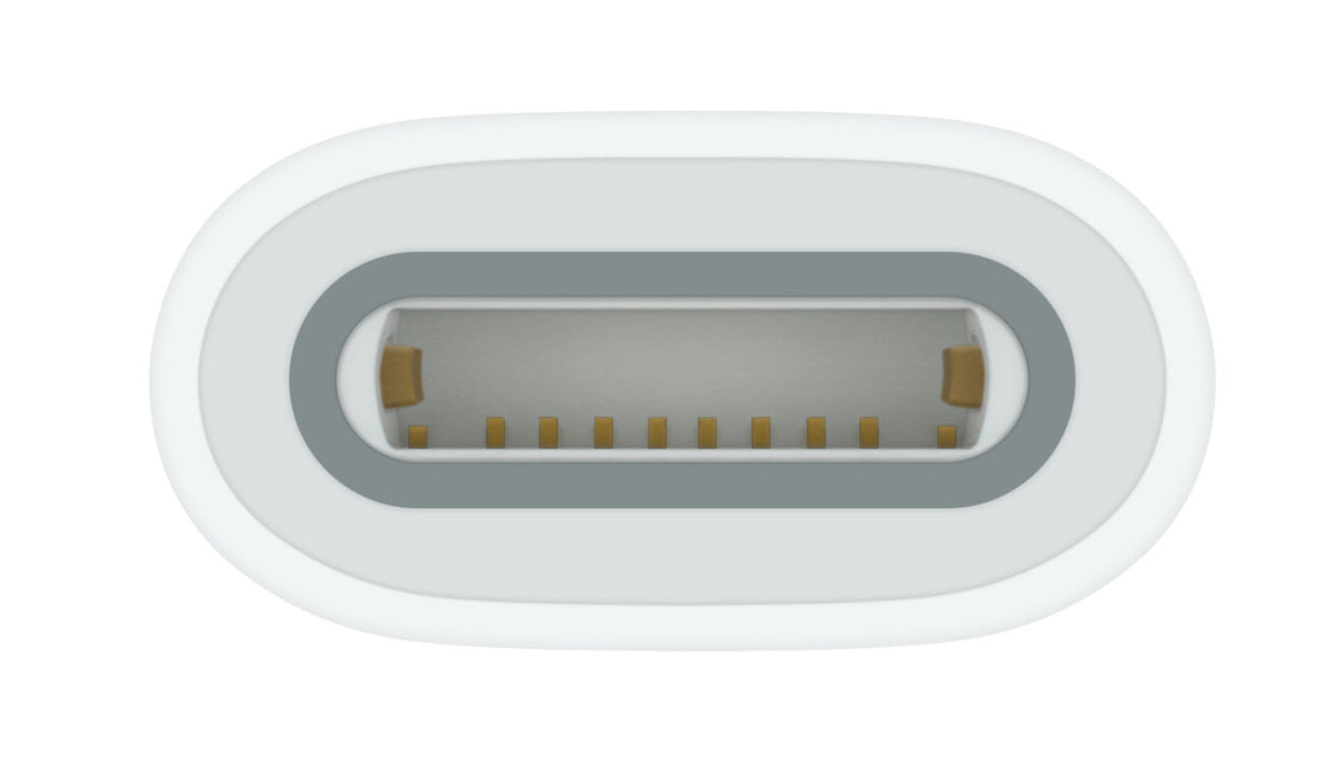 Apple USB-C to Pencil Adapter Hvid 1 stk