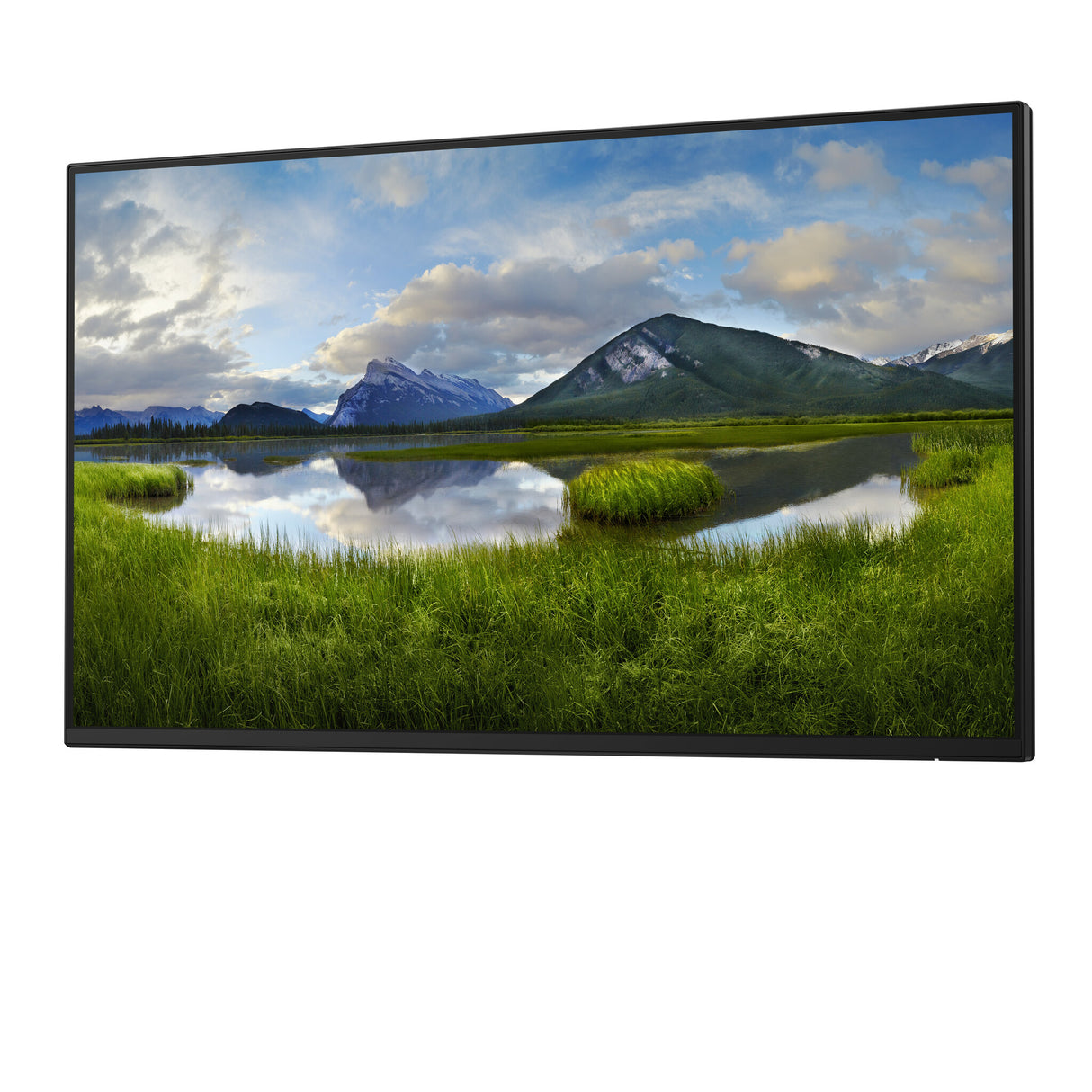 DELL Pro Plus P2425H_WOST computerskærm 61 cm (24") 1920 x 1080 pixel Fuld HD LCD Sort