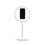 LED Ring Desk Light 10"