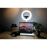 LED Ring Desk Light 10"