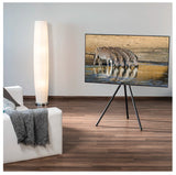 Hama 00220870 tv-beslag 190,5 cm (75") Sort