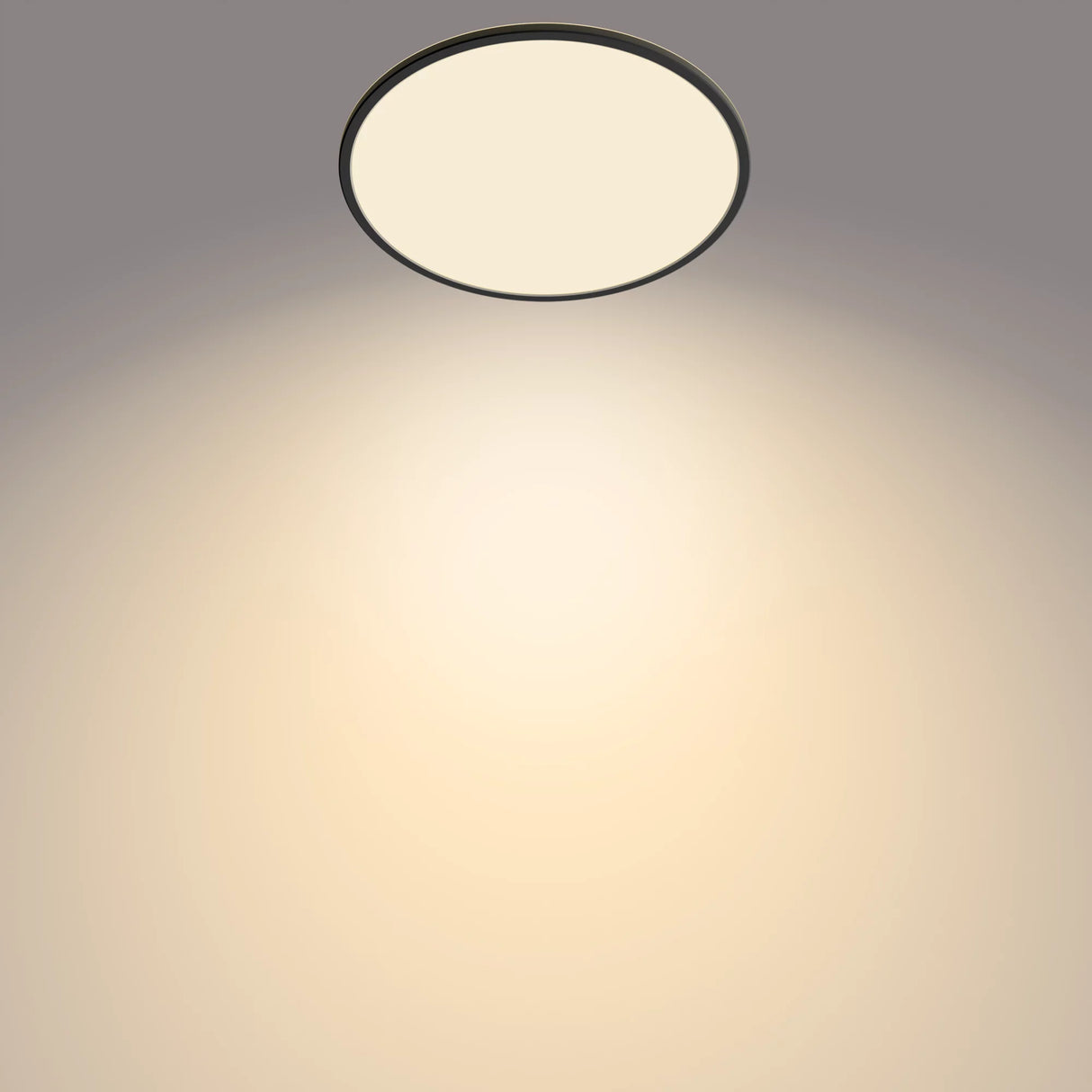 Philips Funktionel Super Slim loftslampe 22 W