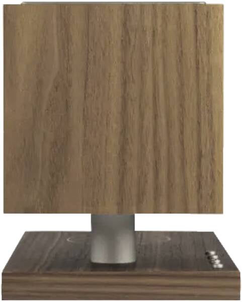 Tivoli Audio Revive bluetooth højttaler walnut/grey