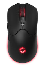 SPEEDLINK SL-680102-BK mus Spil USB Type-A 4800 dpi