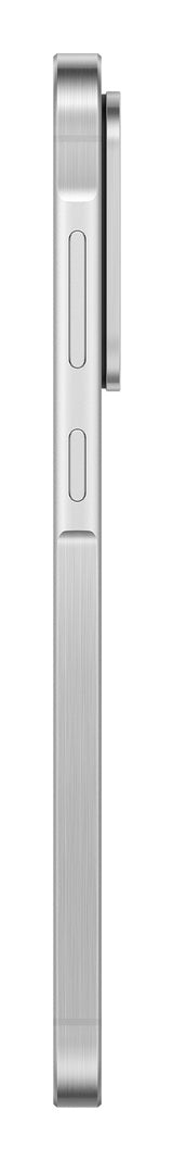 Samsung A56 5G 8/256GB Lightgray DE