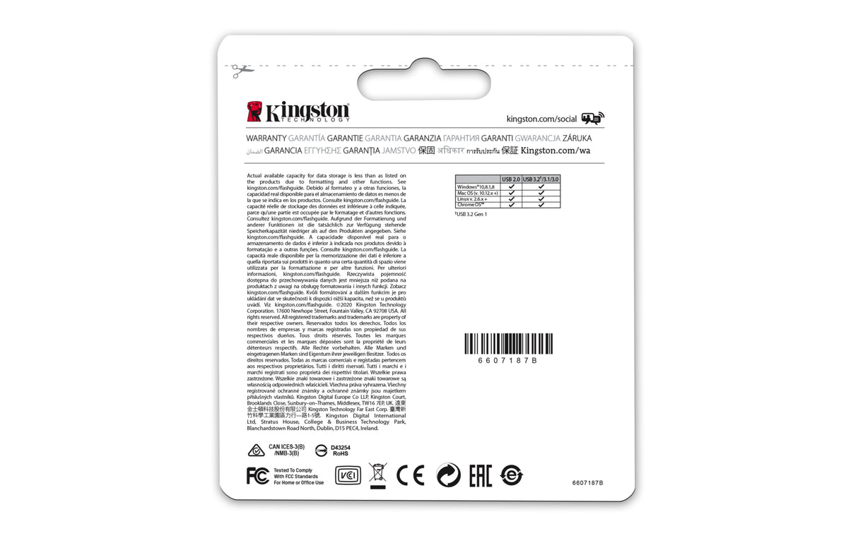 Kingston DataTraveler Micro 256GB USB 3.2 Gen 1 USB stick Sølv