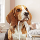 Acefast kabel MFI USB - Lightning 1,2 m, 2,4 A sort (C2-02 sort)