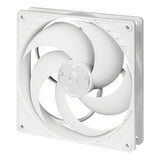 ARCTIC P14 PWM PST Computerkabinet Ventilator 14 cm Hvid